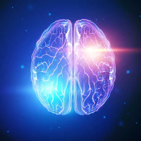 gehirnwellen-bivokale-meditation